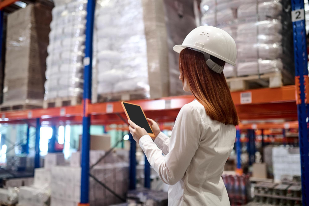 Circular Economy: Rethinking the Modern Supply Chain